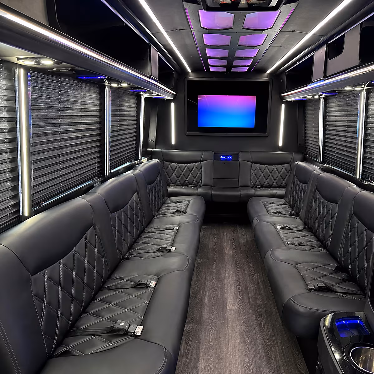 arlington party bus rentals inside