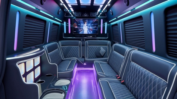 arlington sprinter limo rental inside